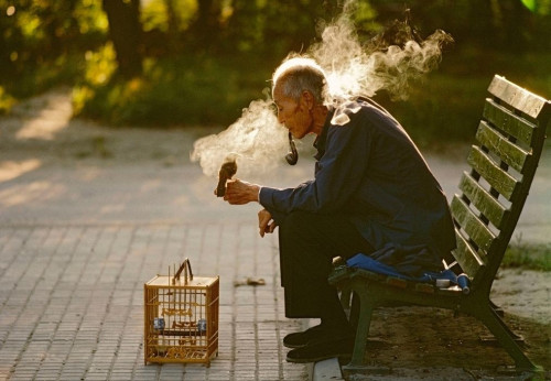  - CHINA, Beijing, 1984. Old man with his pet bird in Ritan Park