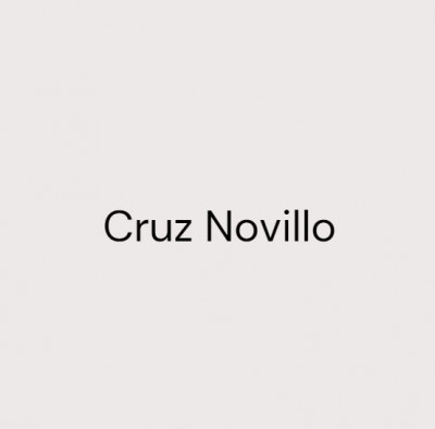 Cruz Novillo - Pinturas hiperrealistas: diafragma decafónico para el INE